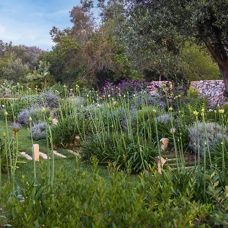Bed & Breakfast La Vacia Country Pulsano