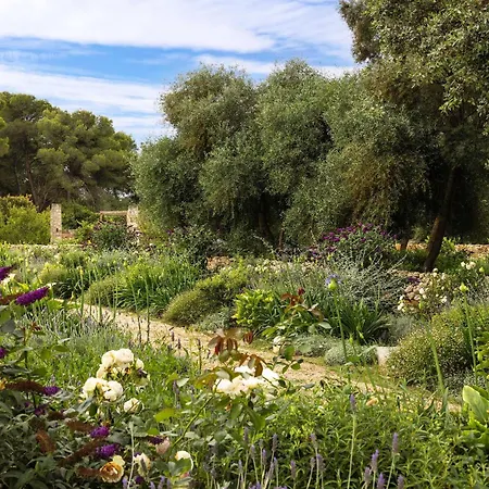 Bed & Breakfast La Vacia Country Pulsano